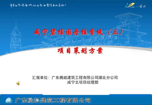 旅游開發(fā)項目策劃咨詢與執(zhí)行指南
